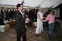 IMG_7848